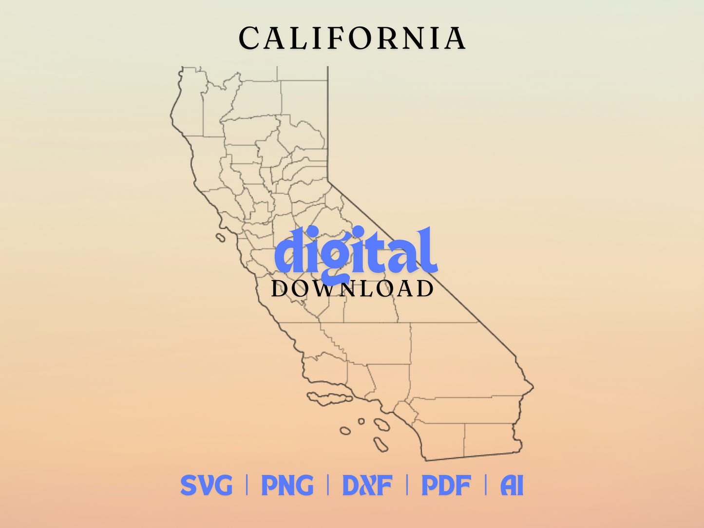 California 2D Vector Bundle