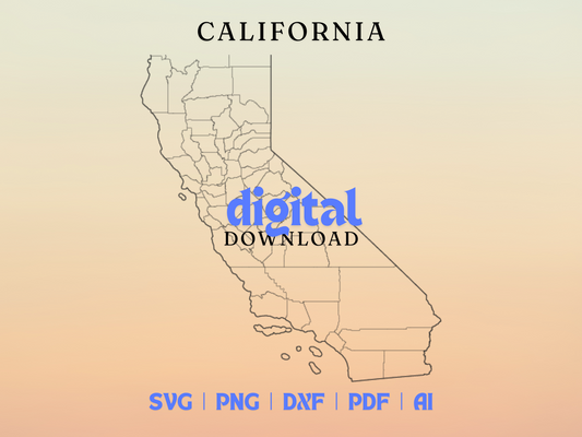 California 2D Vector Bundle